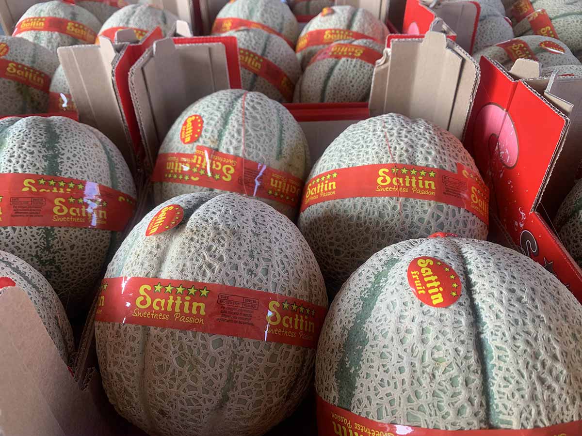 Meloni Origine Italia prezzo 2,20-2,50 €/Kg